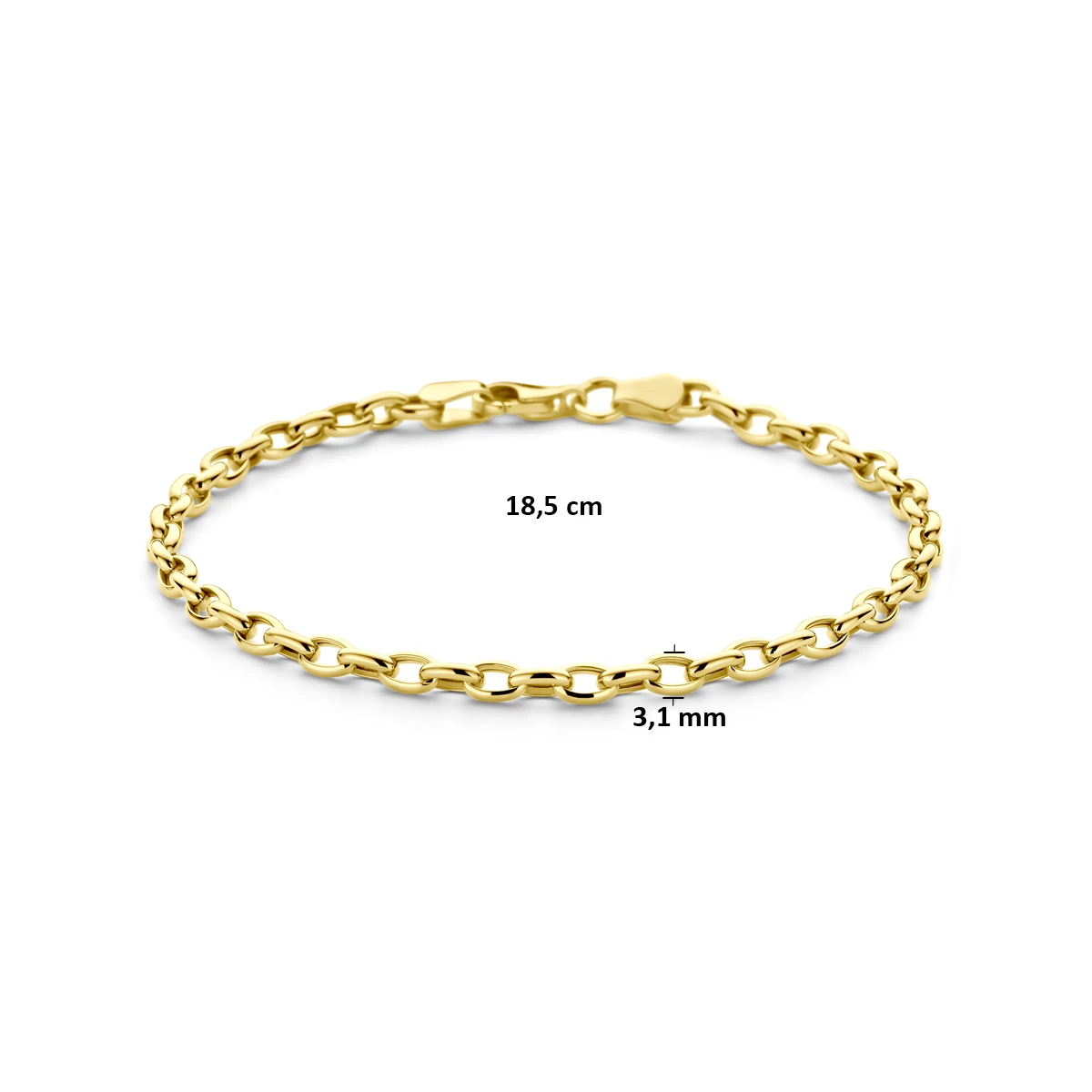 9k armband anker 3,1 mm 18,5 cm 9K geel
