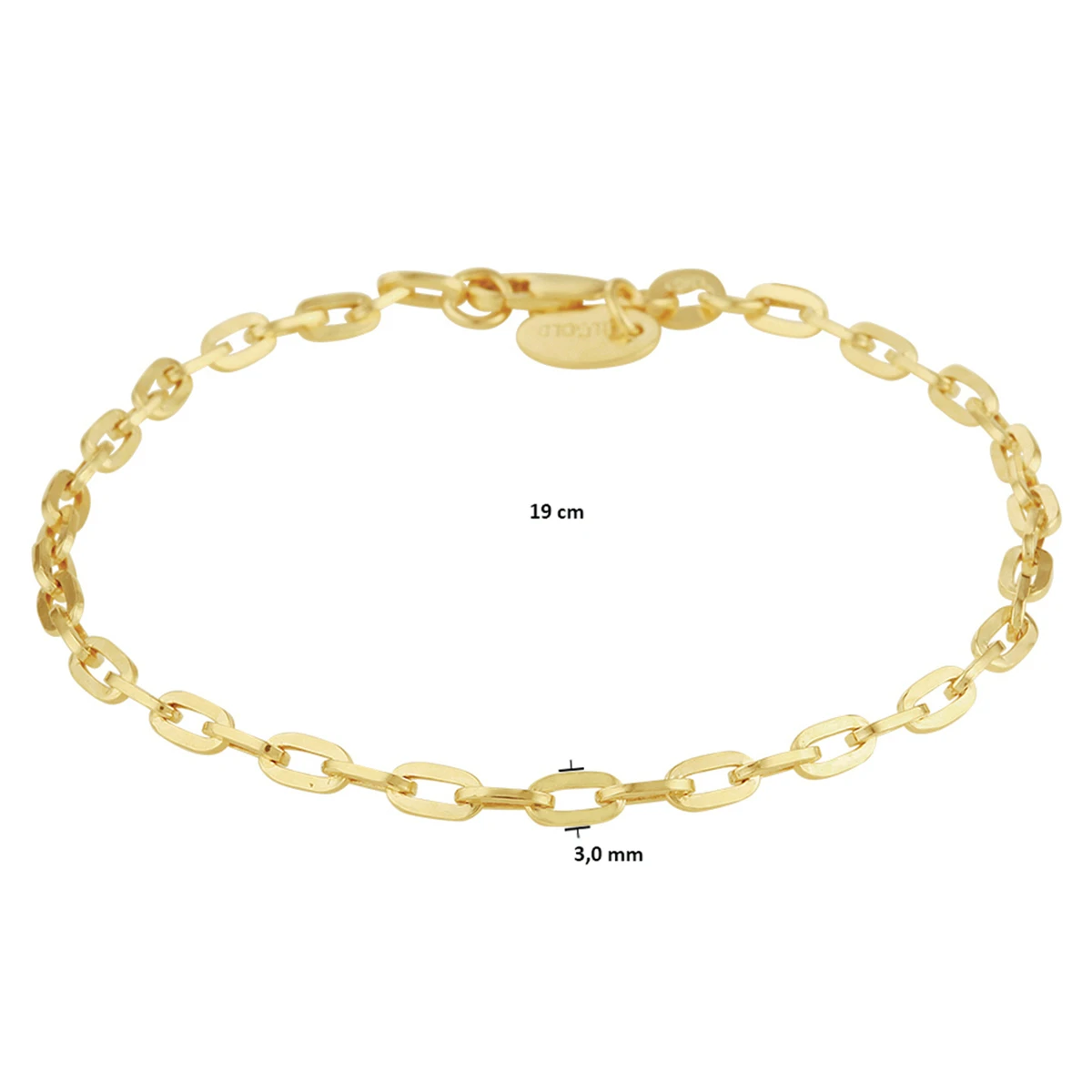 anker massief 3,0 mm silgold (geel met zilverkern)
