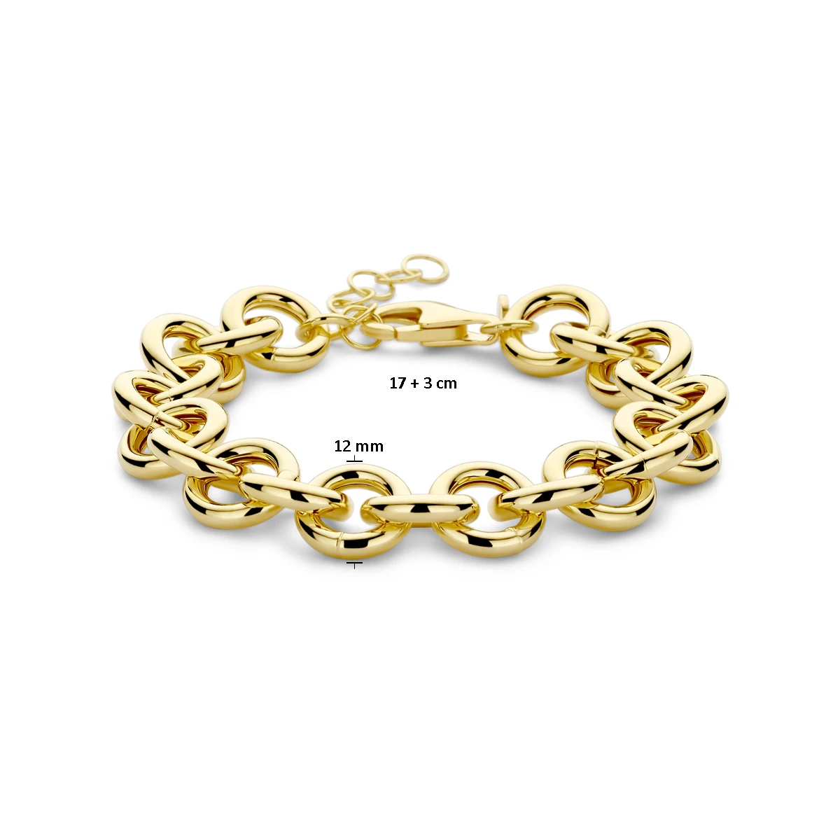 armband 12 mm 17 + 3 cm 3 micron zilver verguld (geel)