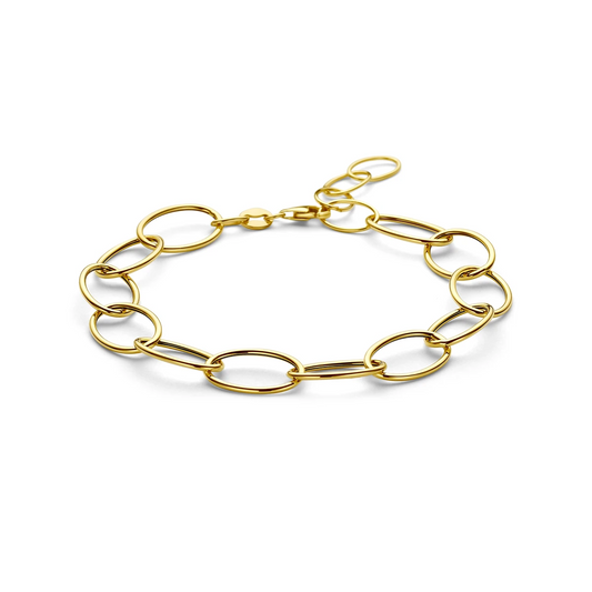 armband 9,5 mm 17 + 3 cm 14K geelgoud