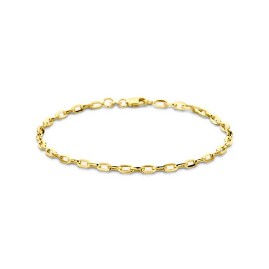 armband anker 3,0 mm 19 cm silgold (geel met zilverkern)