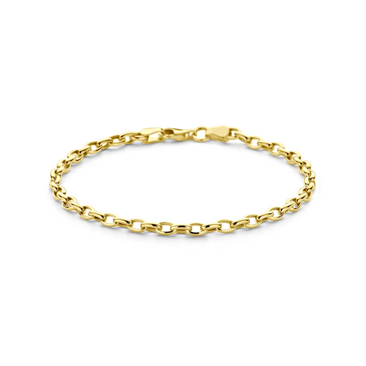 armband anker 3,1 mm 18,5 cm 14K geelgoud