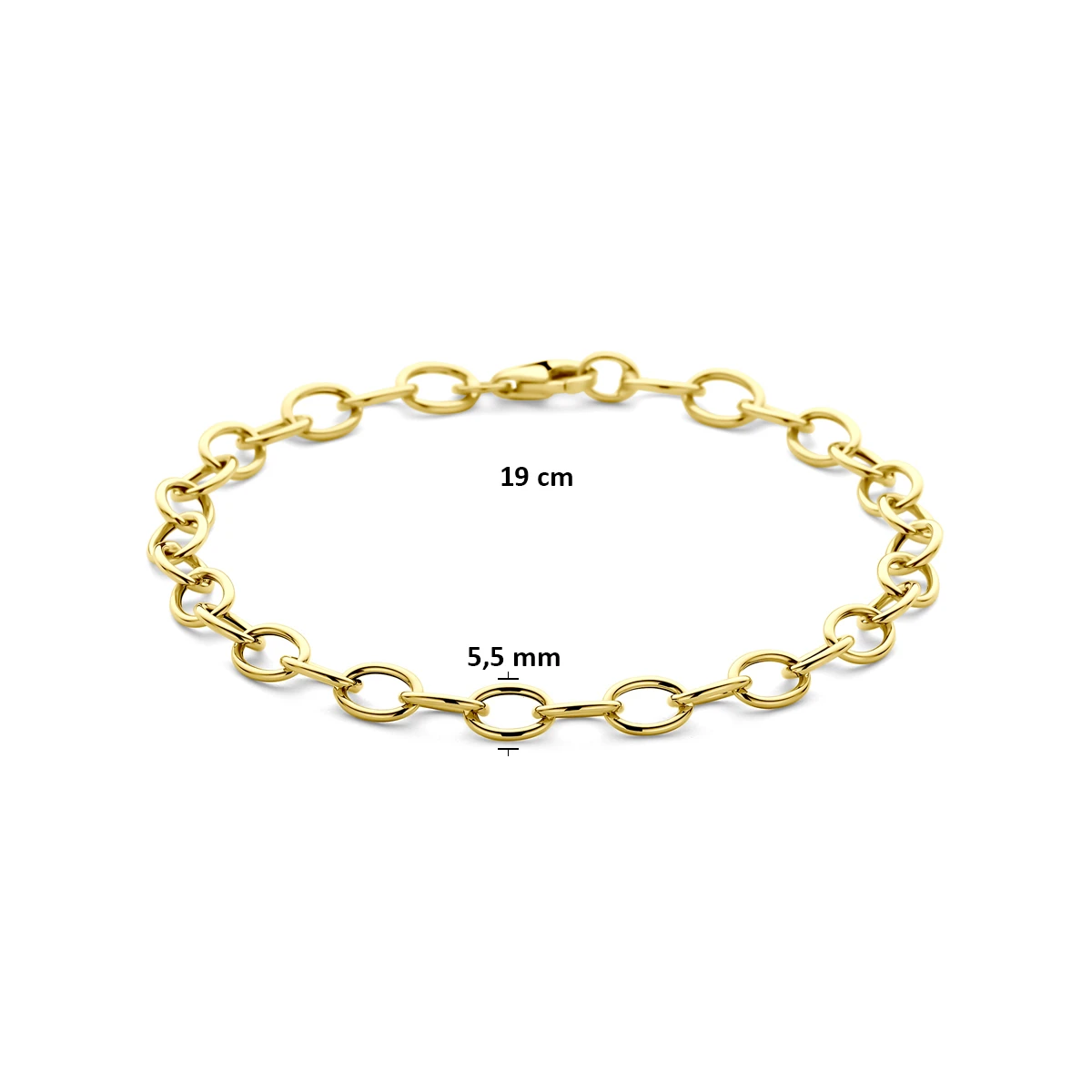 armband anker 5,5 mm 19 cm 14K geelgoud