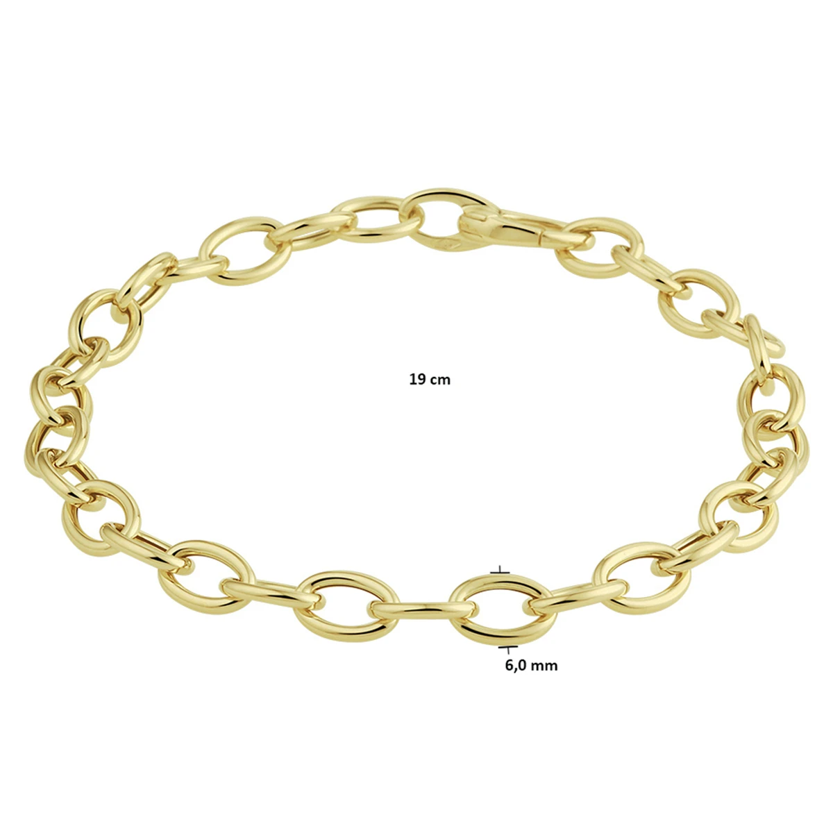 armband anker 6,0 mm 19 cm 14K geelgoud