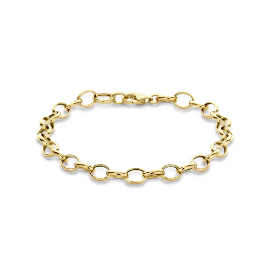 armband fantasie schakel 6,0 mm 19 cm 14K geelgoud