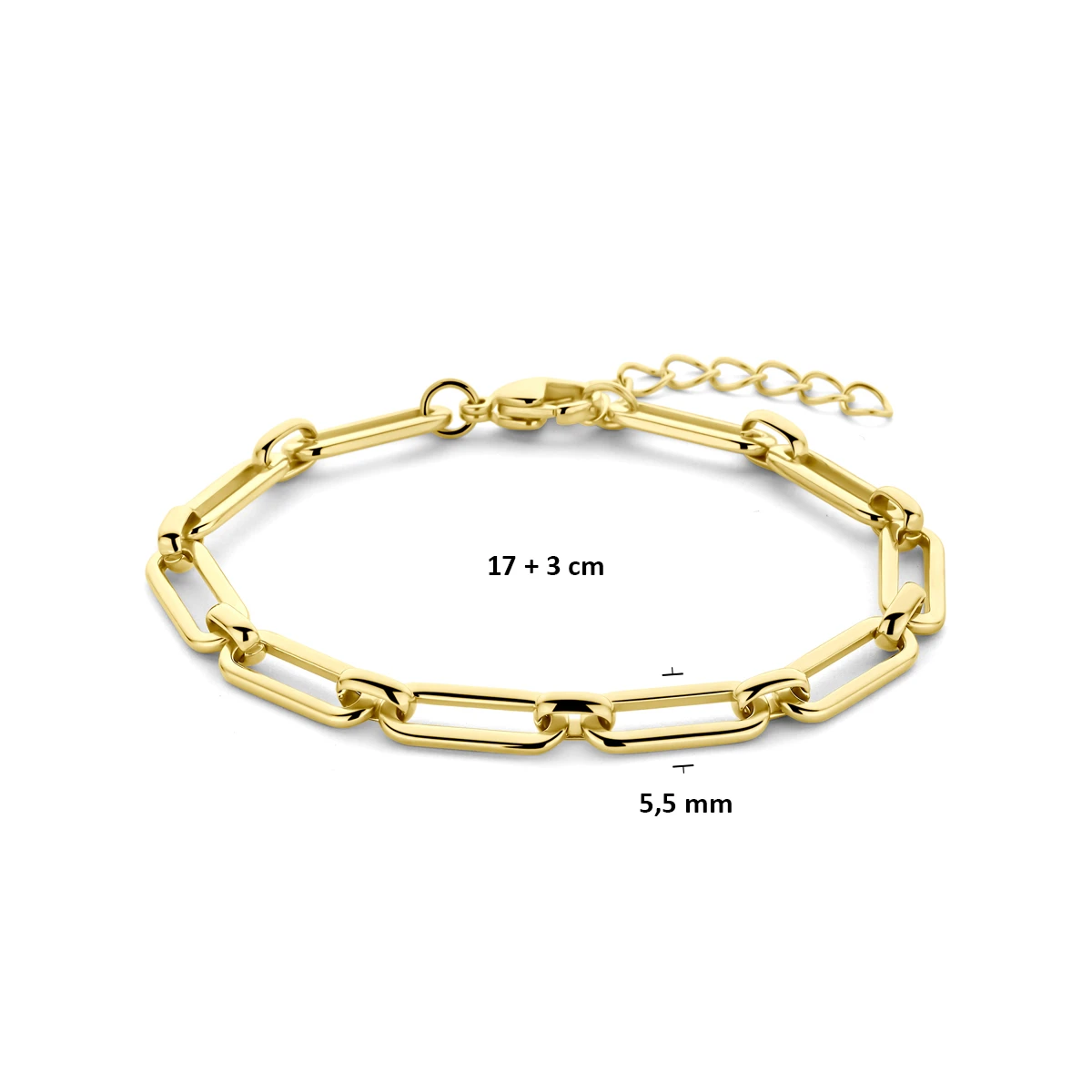 armband ion plating 5,5 mm 17 + 3 cm edelstaal