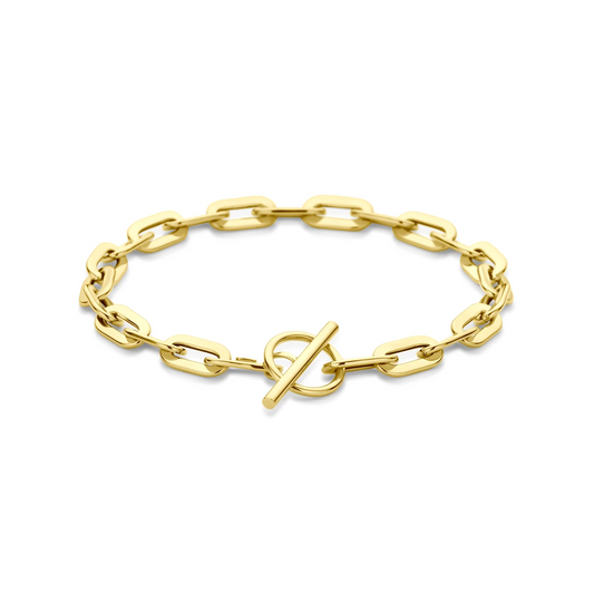 armband kapittelslot 5,5 mm 19 cm 14K geelgoud