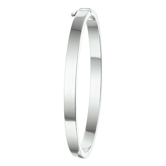 bangle scharnier 5 mm vlakke buis zilver gerhodineerd