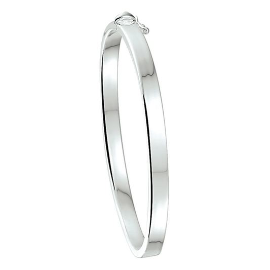 bangle scharnier 5 mm vlakke buis zilver wit