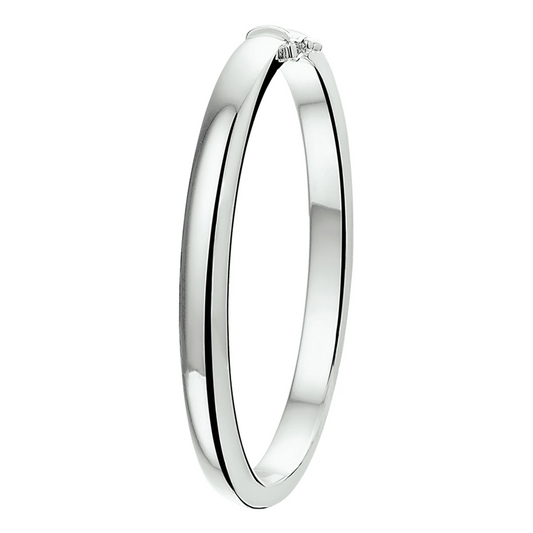 bangle scharnier 6 mm bolle buis zilver gerhodineerd