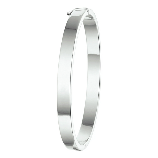 bangle scharnier 6 mm vlakke buis zilver gerhodineerd