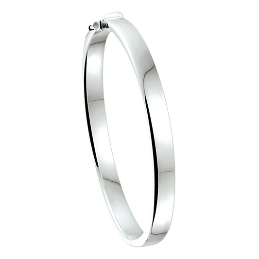 bangle scharnier 6 mm vlakke buis zilver wit