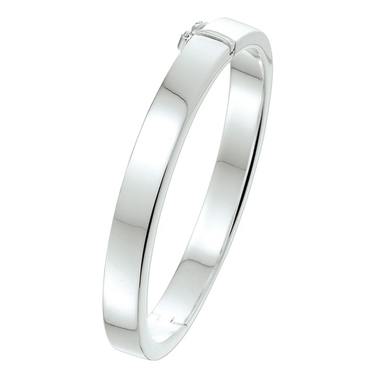bangle scharnier 8 mm vlakke buis zilver wit
