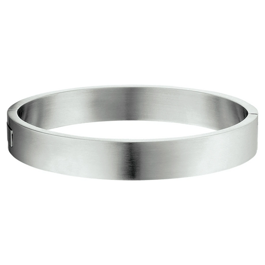 bangle scharnier massief mat 11,5 x 68 mm edelstaal