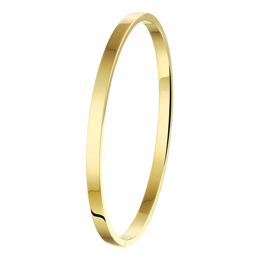 bangle scharnier vlakke buis massief 4 x 61 mm silgold (geel met zilverkern)
