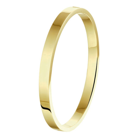 bangle scharnier massief vlakke buis 6,0 mm silgold (geel met zilverkern)