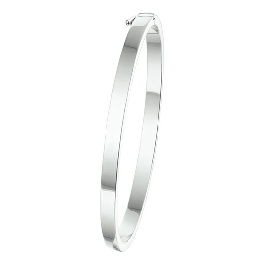 bangle scharnier vlakke buis 4 x 60 mm zilver wit
