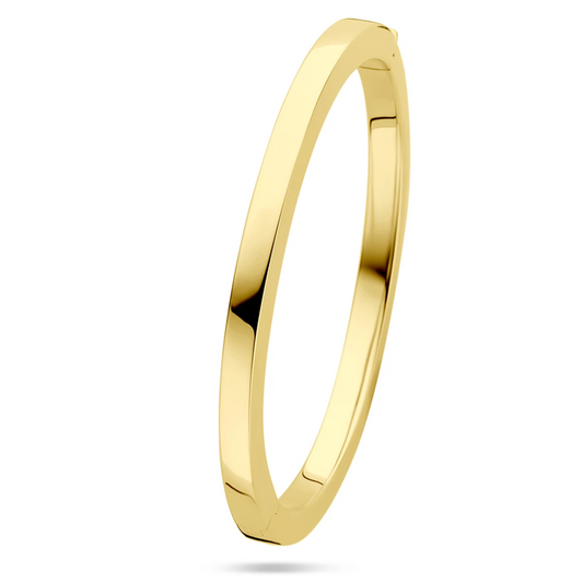 bangle scharnier vlakke buis 5 x 60 mm 14K geelgoud