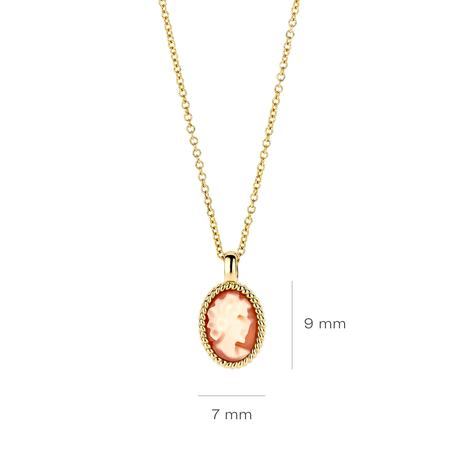 Blush Collier 3167YCA - Geelgoud (14k) met Camee