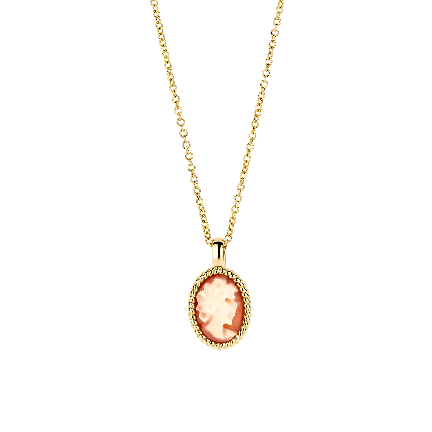 Blush Collier 3167YCA - Geelgoud (14k) met Camee