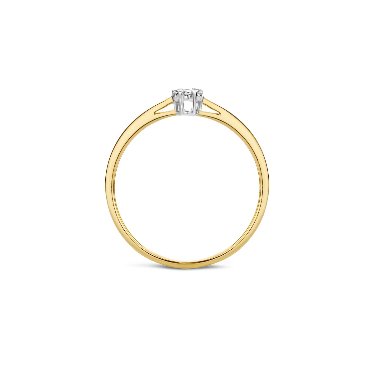 Blush Natural Diamonds Ring 1609BDI – Geel en Wit Goud (14k) met Diamant
