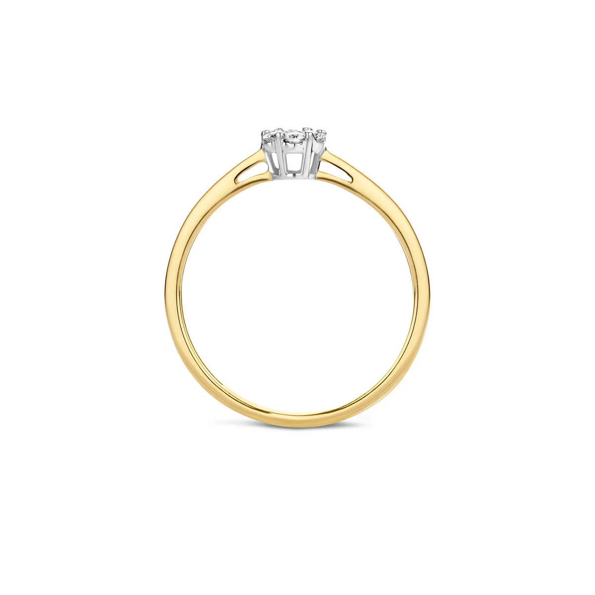 Blush Natural Diamonds Ring 1611BDI – Geel en Wit Goud (14k) met Diamant