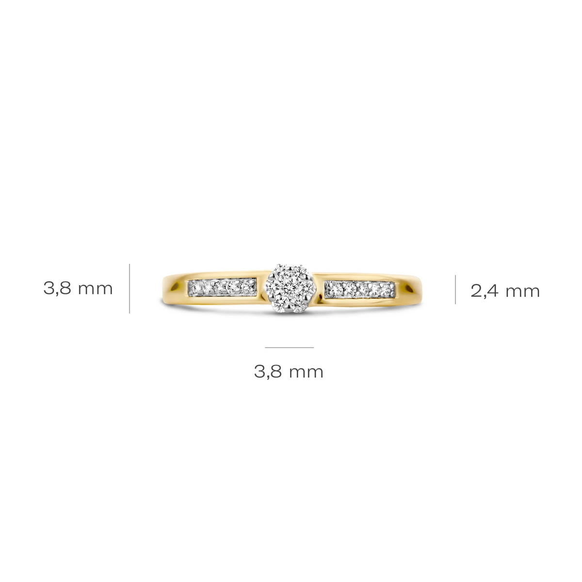 Blush Natural Diamonds Ring 1623BDI – Geel en Wit Goud (14k) met Diamant