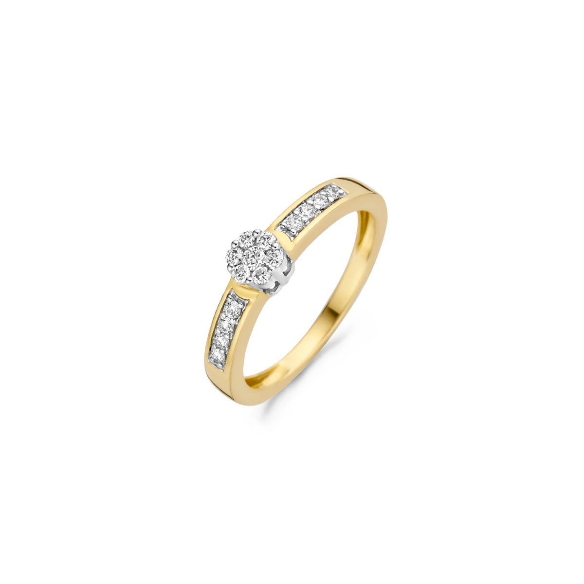 Blush Natural Diamonds Ring 1624BDI – Geel en Wit Goud (14k) met Diamant