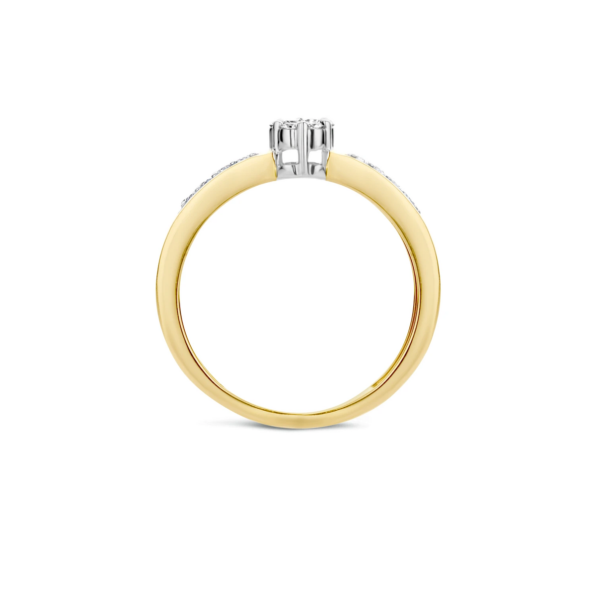 Blush Natural Diamonds Ring 1624BDI – Geel en Wit Goud (14k) met Diamant