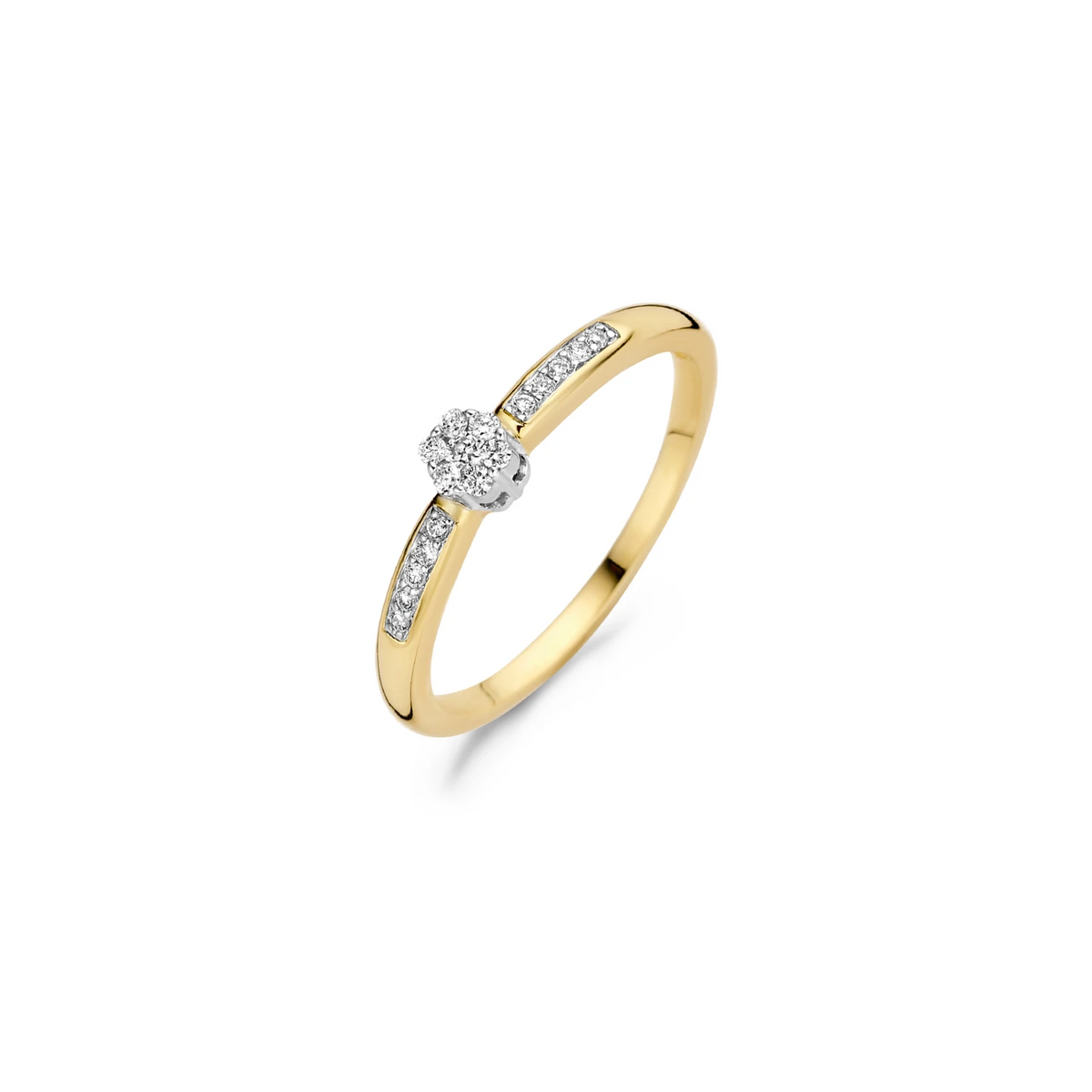 Blush Natural Diamonds Ring 1625BDI – Geel en Wit Goud (14k) met Diamant