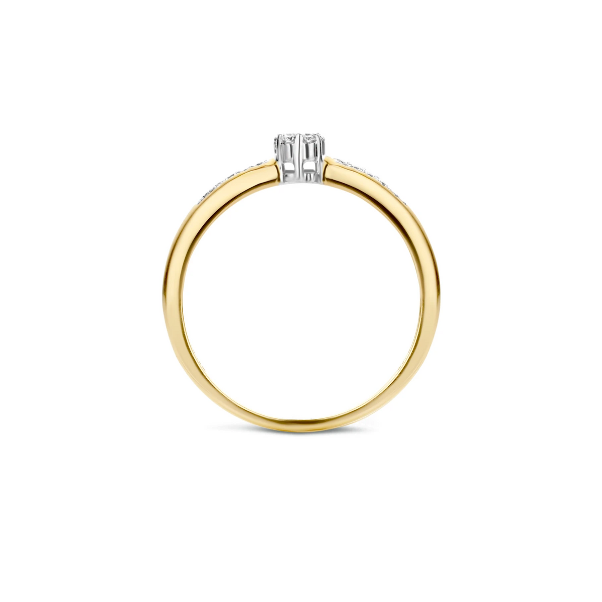 Blush Natural Diamonds Ring 1625BDI – Geel en Wit Goud (14k) met Diamant