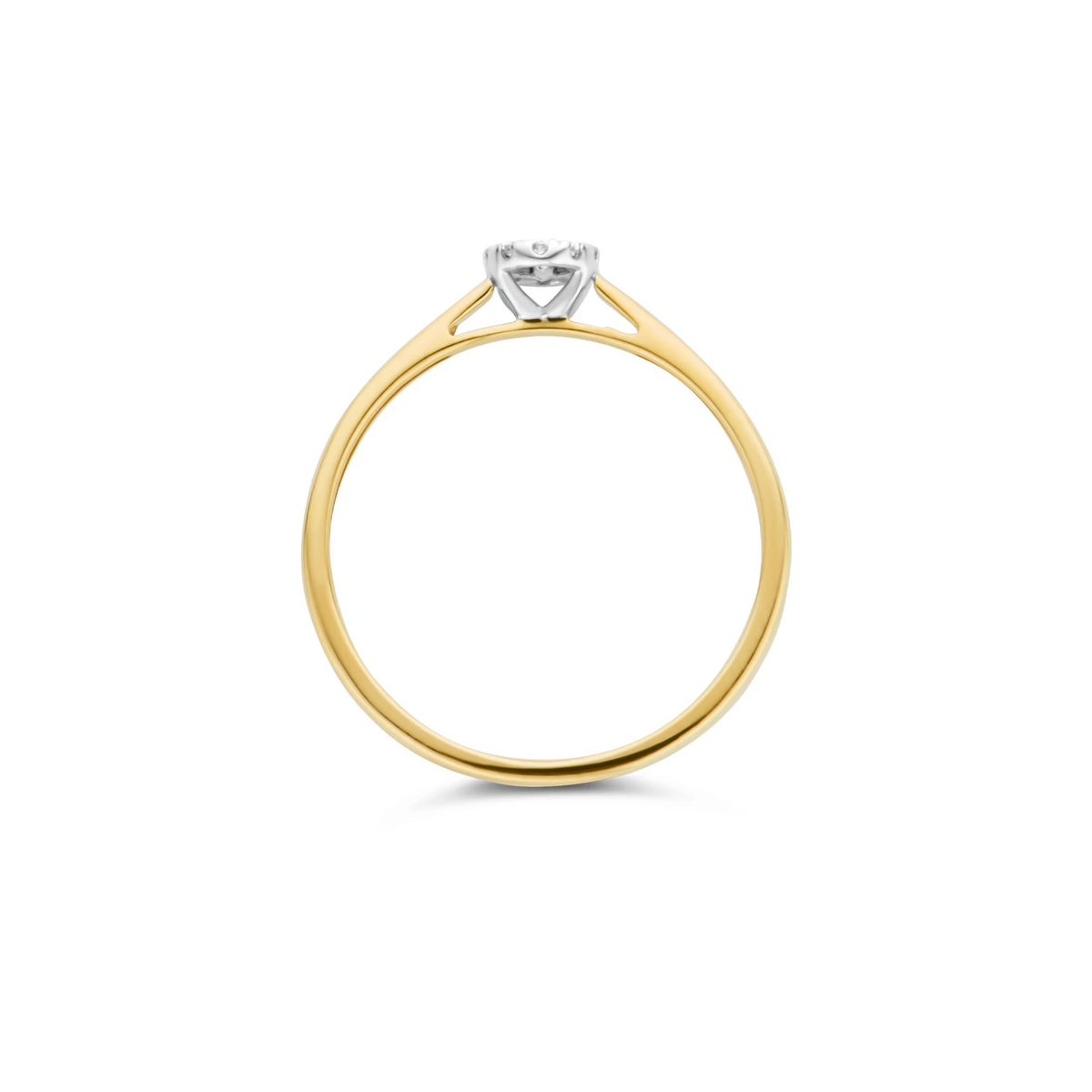 Blush Natural Diamonds Ring 1647BDI – Geel en Wit Goud (14k) met Diamant