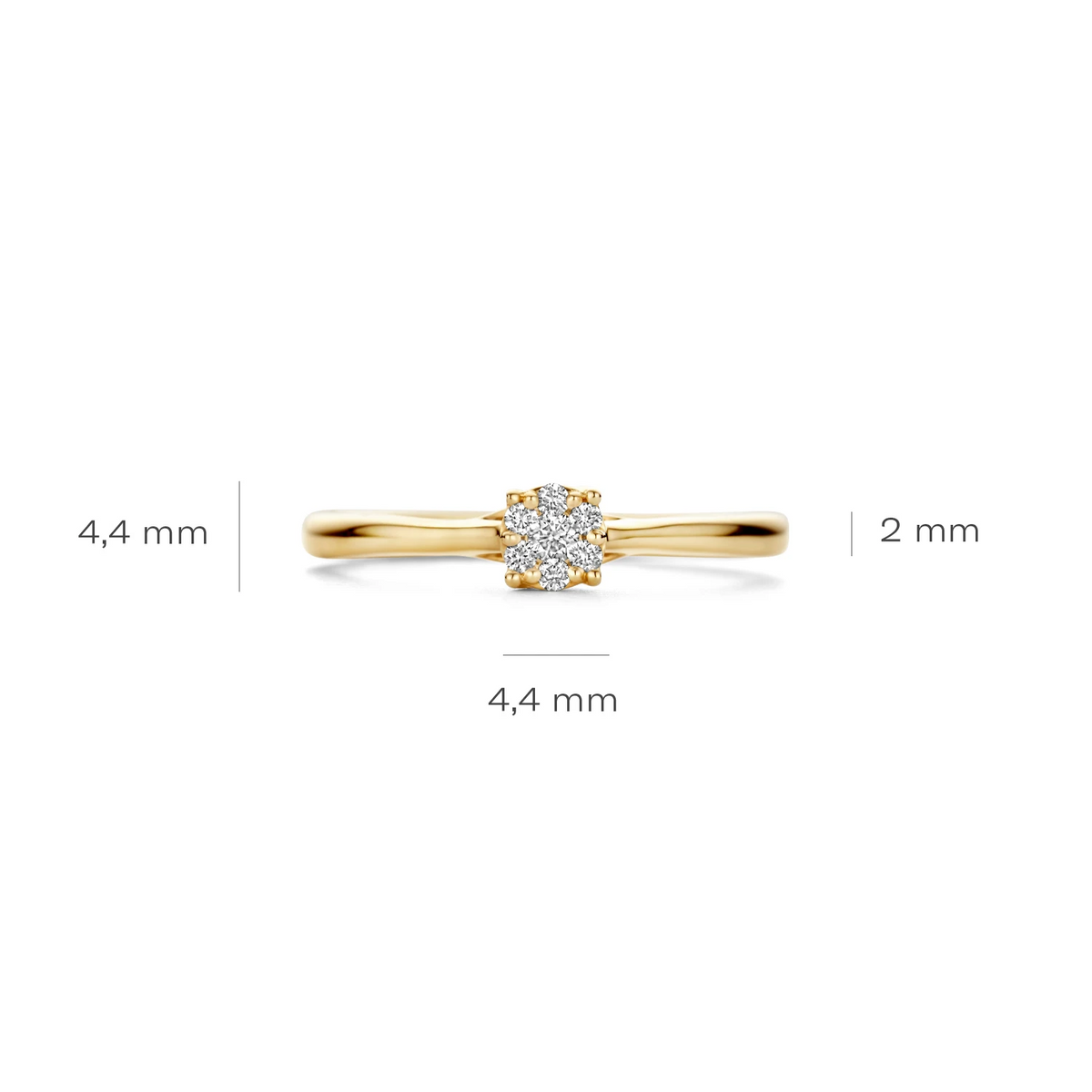 Blush Natural Diamonds Ring 1665YDI - Geelgoud (14k) met Diamant