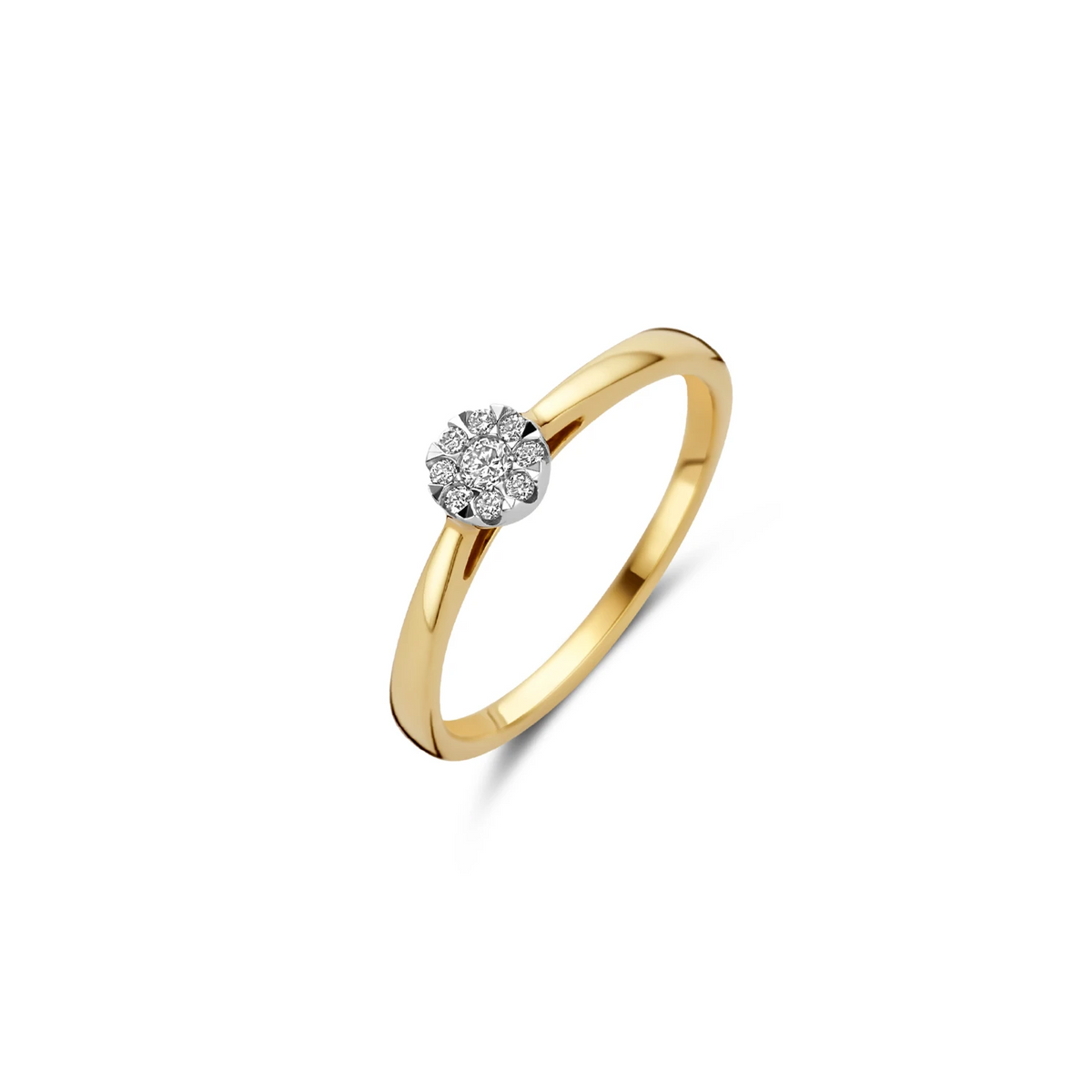Blush Natural Diamonds Ring 1675BDI - Geel en Wit goud (14k) met Diamant