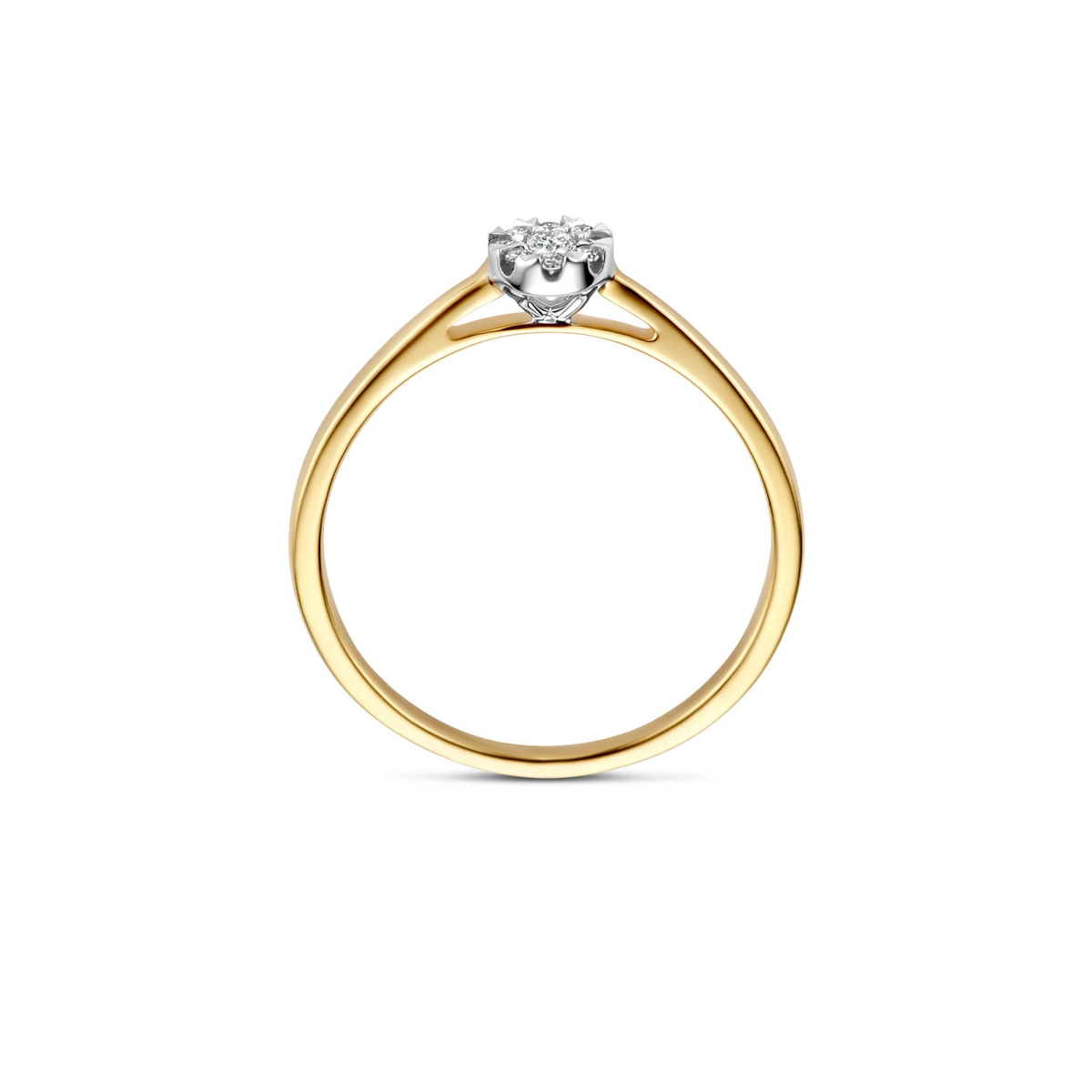 Blush Natural Diamonds Ring 1675BDI - Geel en Wit goud (14k) met Diamant