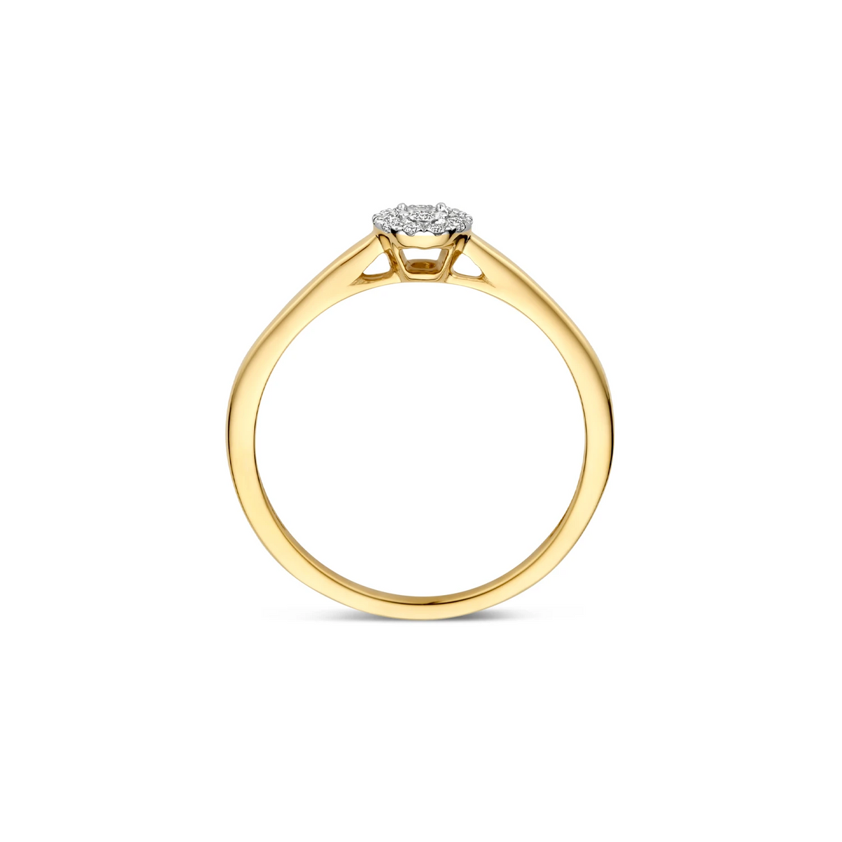Blush Natural Diamonds Ring 1678BDI – Geel en Wit Goud (14k) met Diamant