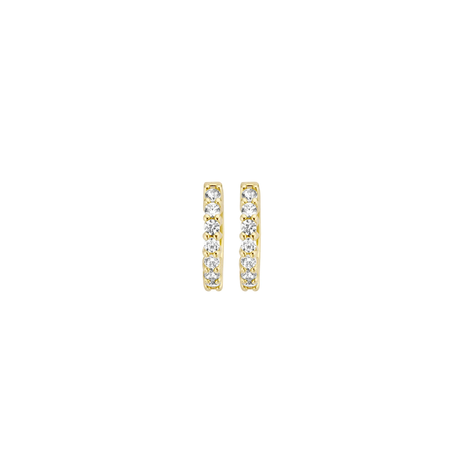Blush Oorbellen 7134YZI -  Geel Goud (14k) met Zirkonia