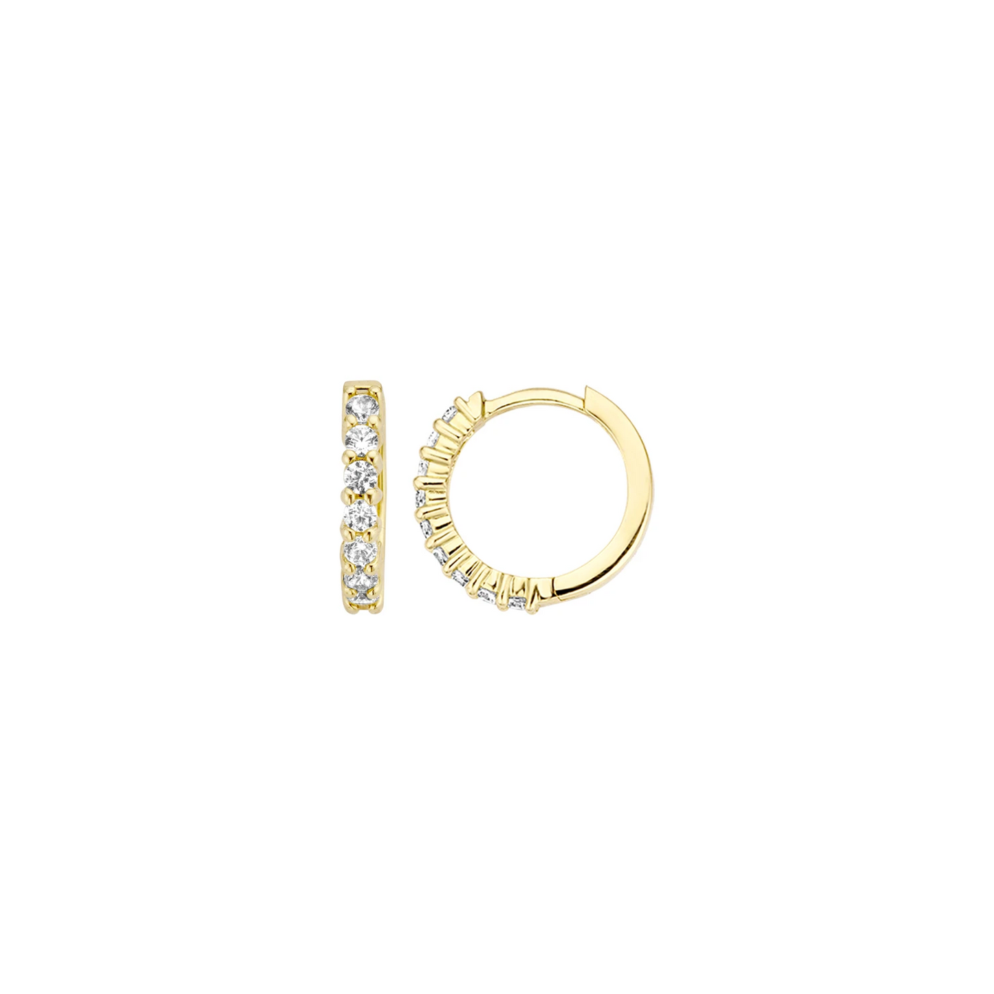 Blush Oorbellen 7134YZI -  Geel Goud (14k) met Zirkonia