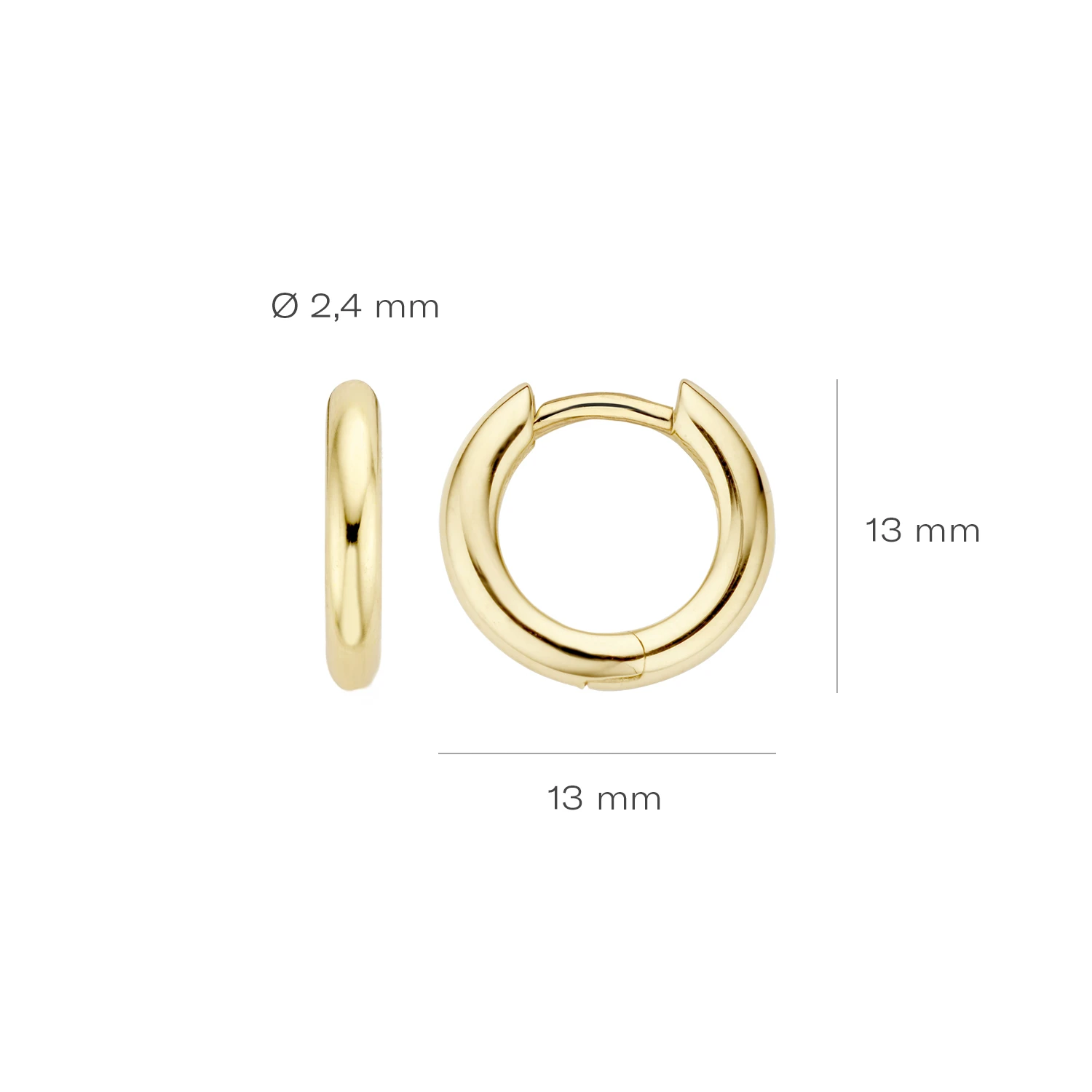 Blush Oorbellen 7165YGO -  Geel Goud (14k)