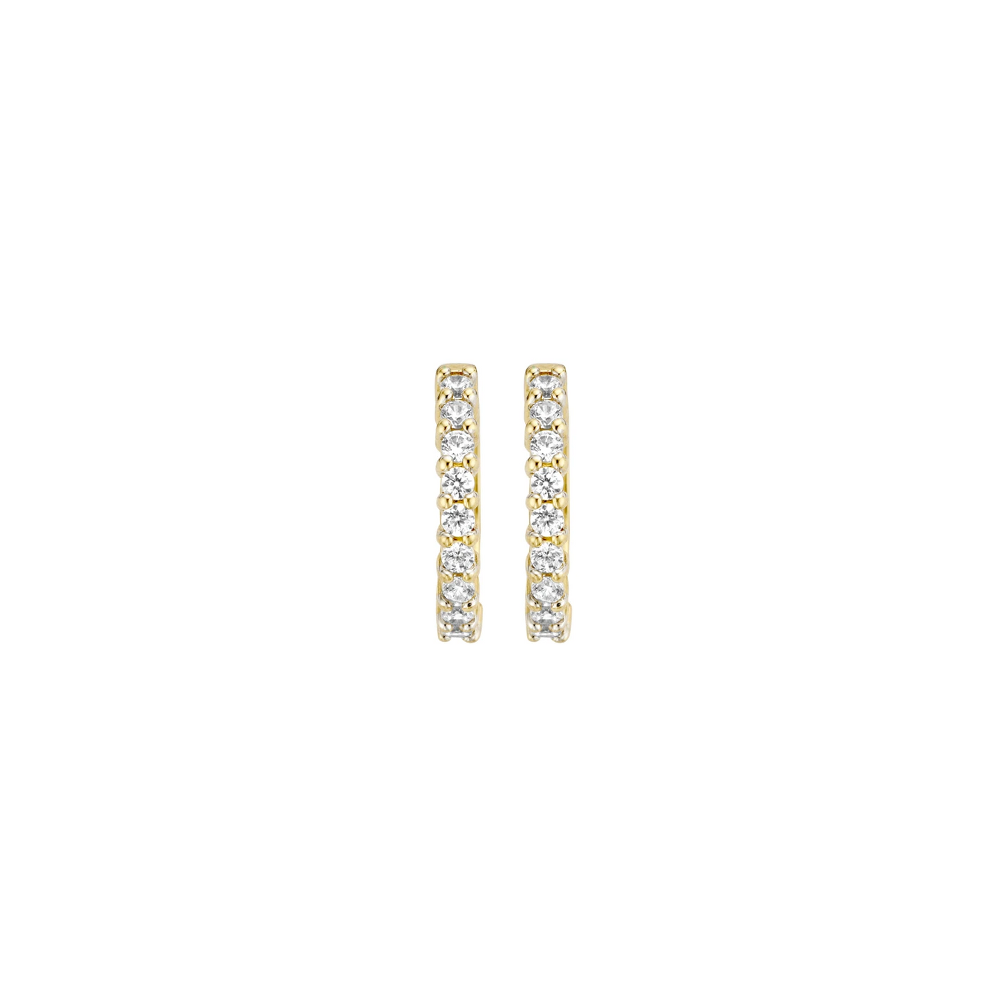 Blush Oorbellen 7166YZI - Geel Goud (14k) met Zirkonia