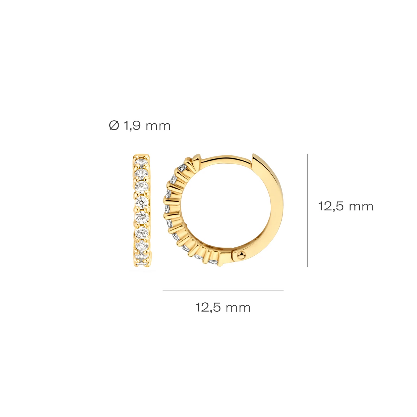 Blush Oorbellen 7166YZI - Geel Goud (14k) met Zirkonia