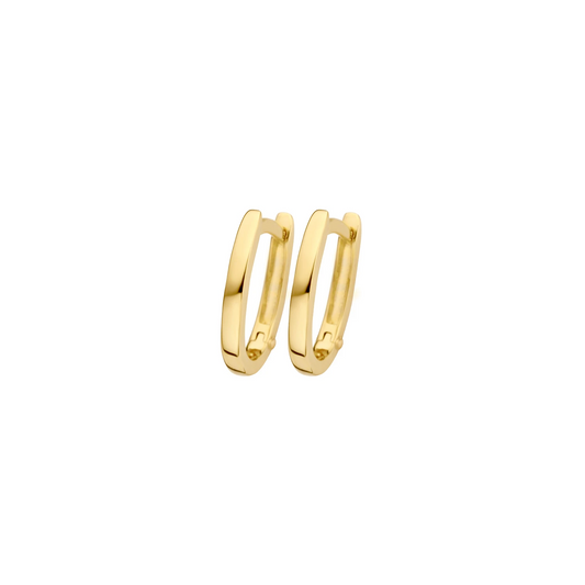 Blush Oorbellen 7223YGO - Geel Goud (14k)