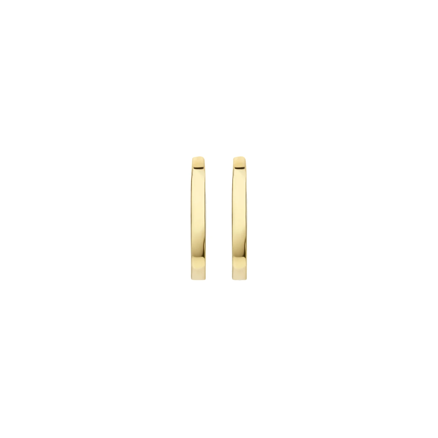 Blush Oorbellen 7223YGO - Geel Goud (14k)