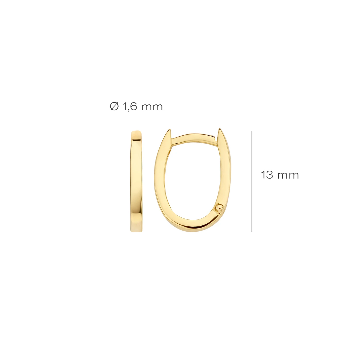 Blush Oorbellen 7223YGO - Geel Goud (14k)