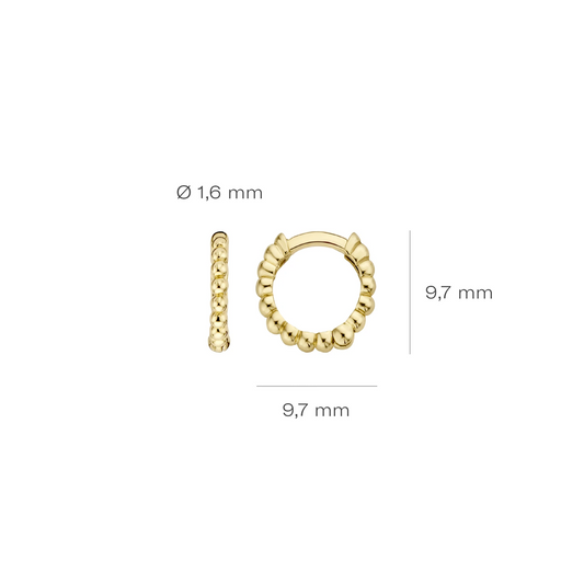 Blush Oorbellen 7230YGO - Geel Goud (14k)