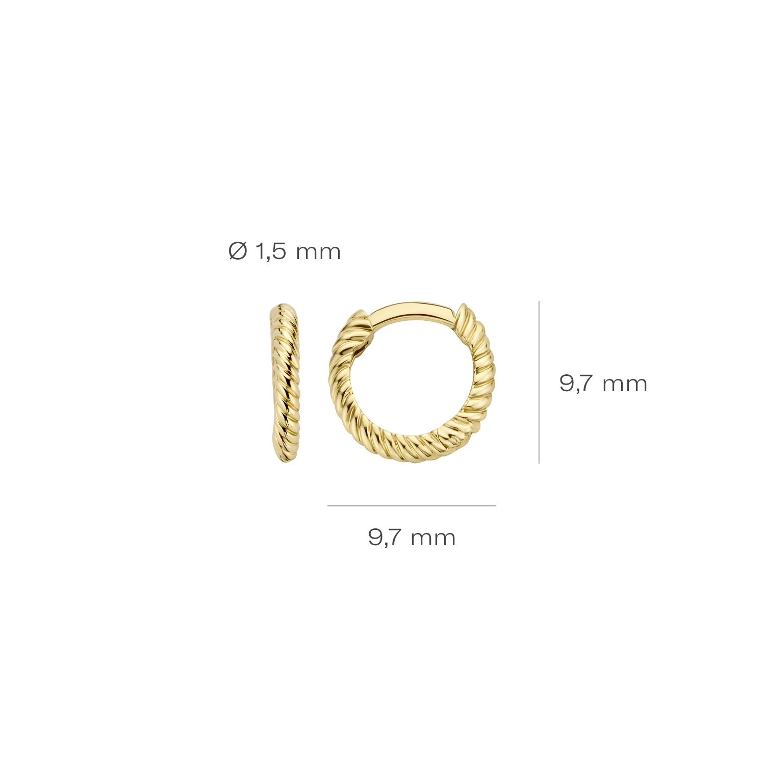 Blush Oorbellen 7231YGO - Geel Goud (14k)
