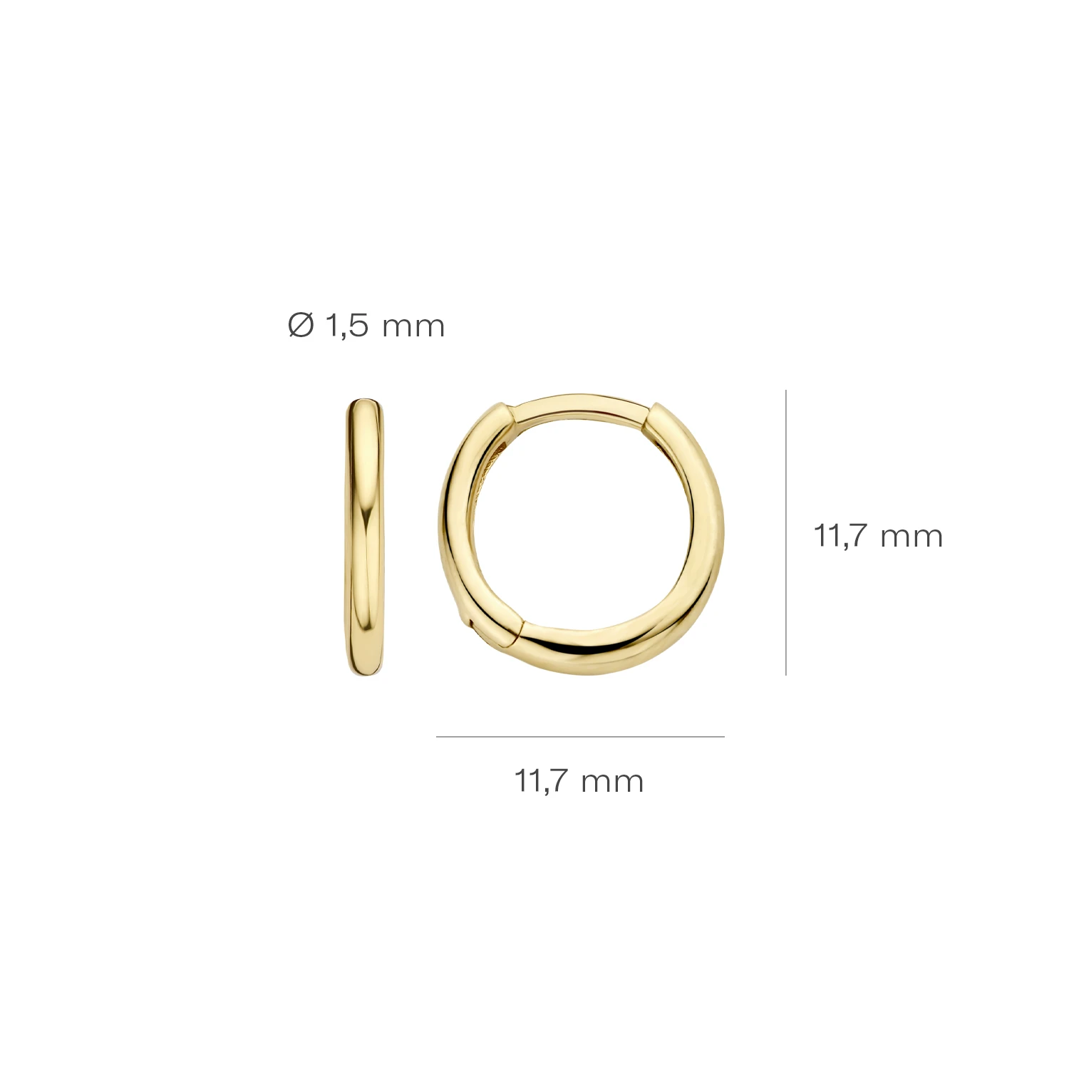 Blush Oorbellen 7233YGO - Geel Goud (14k)