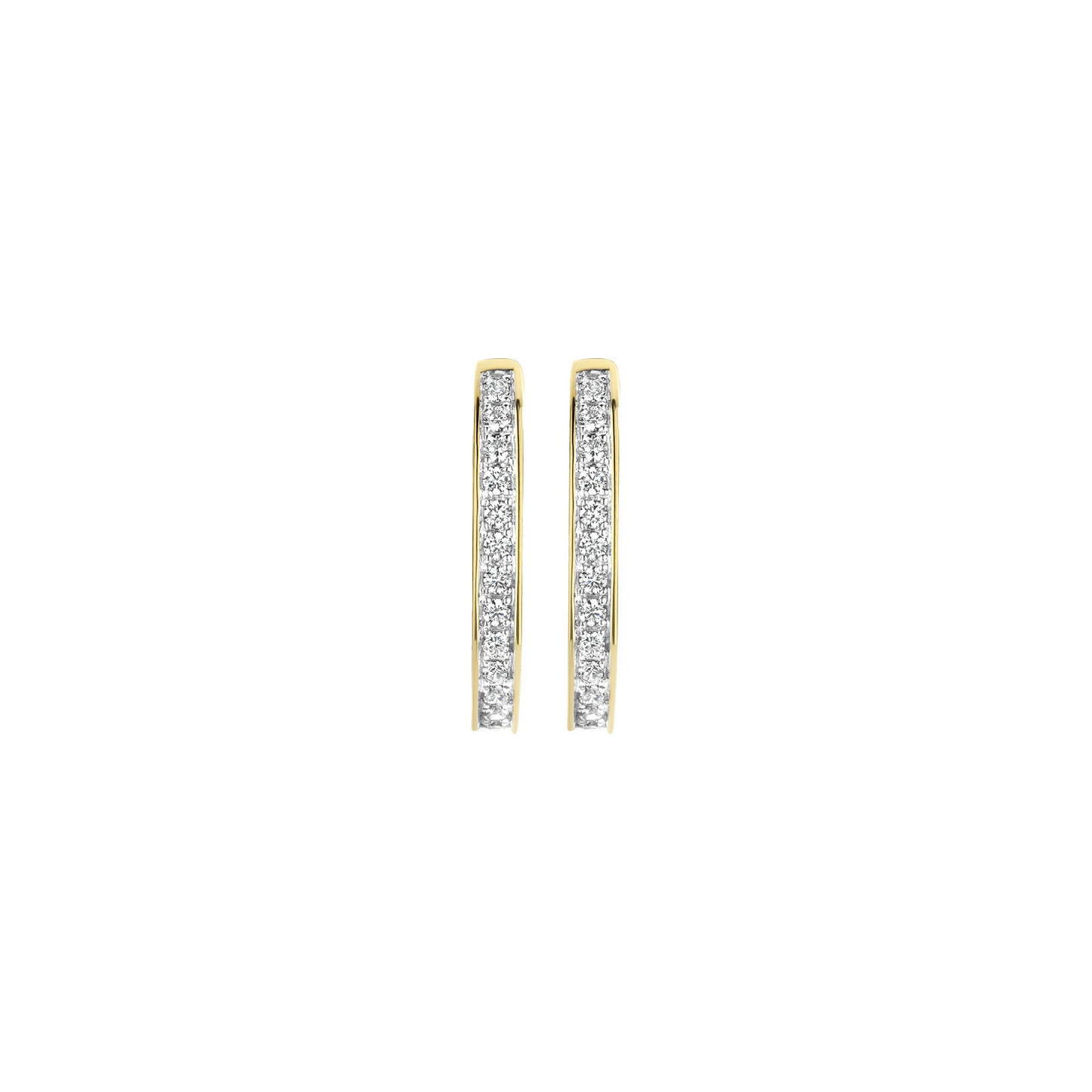 Blush Oorbellen 7234YZI - Geel Goud met Zirkonia (14k)