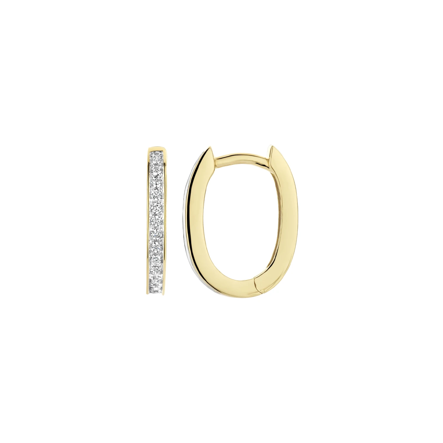 Blush Oorbellen 7234YZI - Geel Goud met Zirkonia (14k)