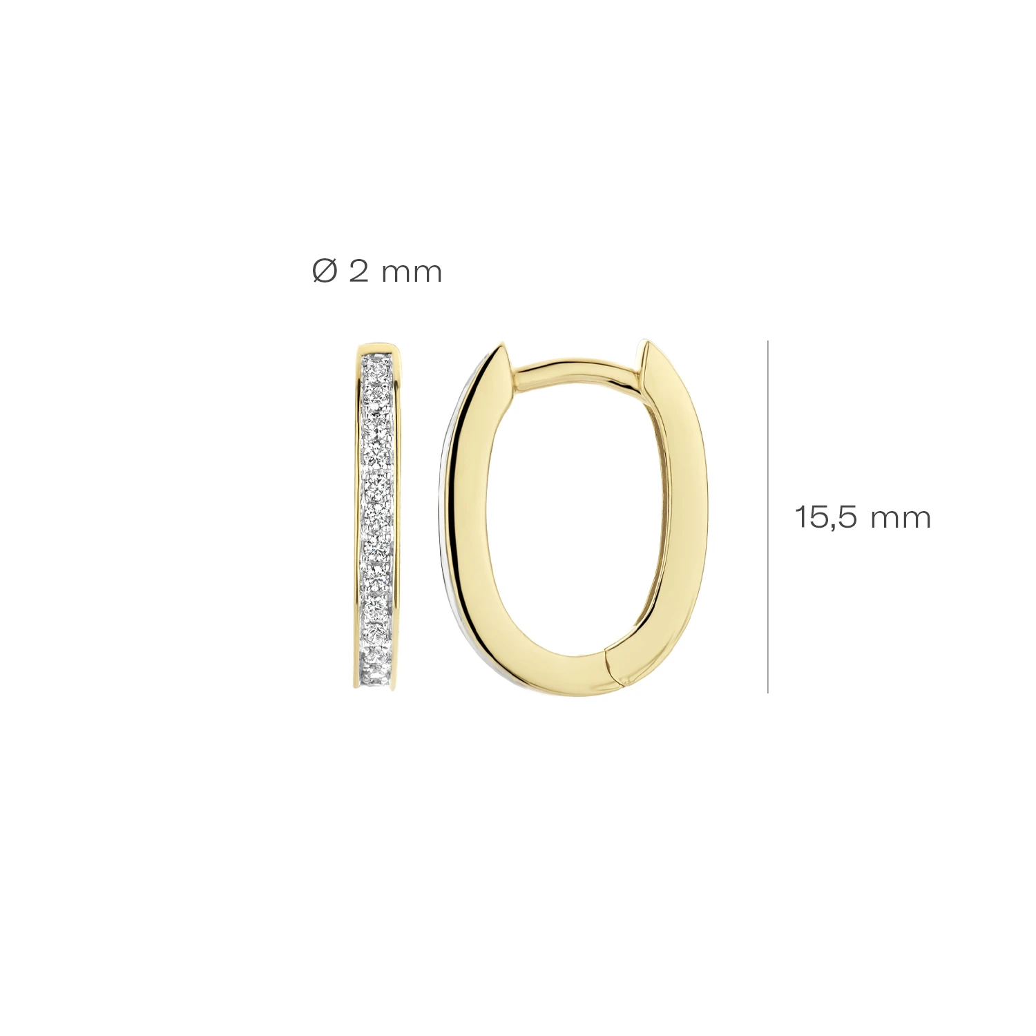 Blush Oorbellen 7234YZI - Geel Goud met Zirkonia (14k)
